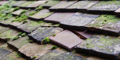 Colnbrook roof repair costs